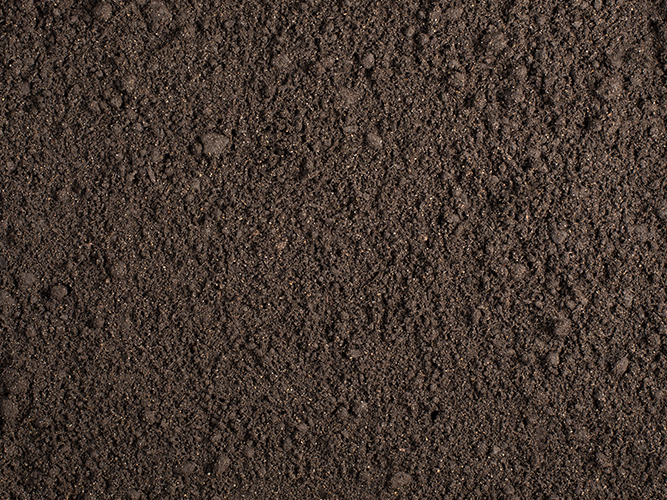 Grade-B-Top-Soil